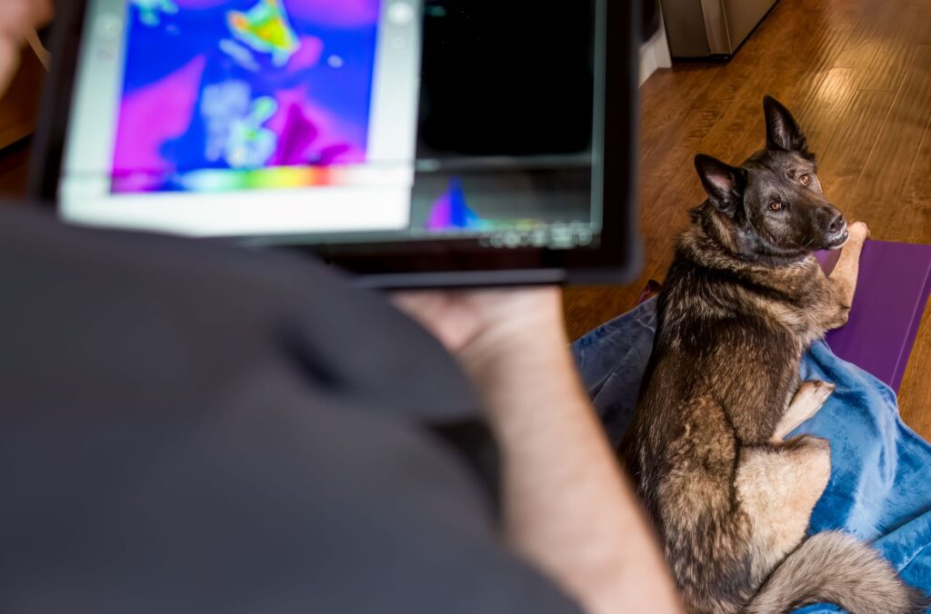 A cat sitting on the floor next to someone holding a tablet.