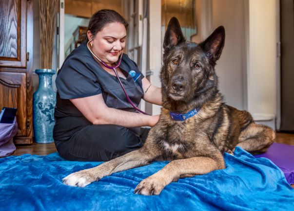 A woman is sitting on the bed with her dog